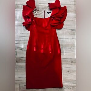 POSH COUTURE RUFFLE SLEEVE DRESS